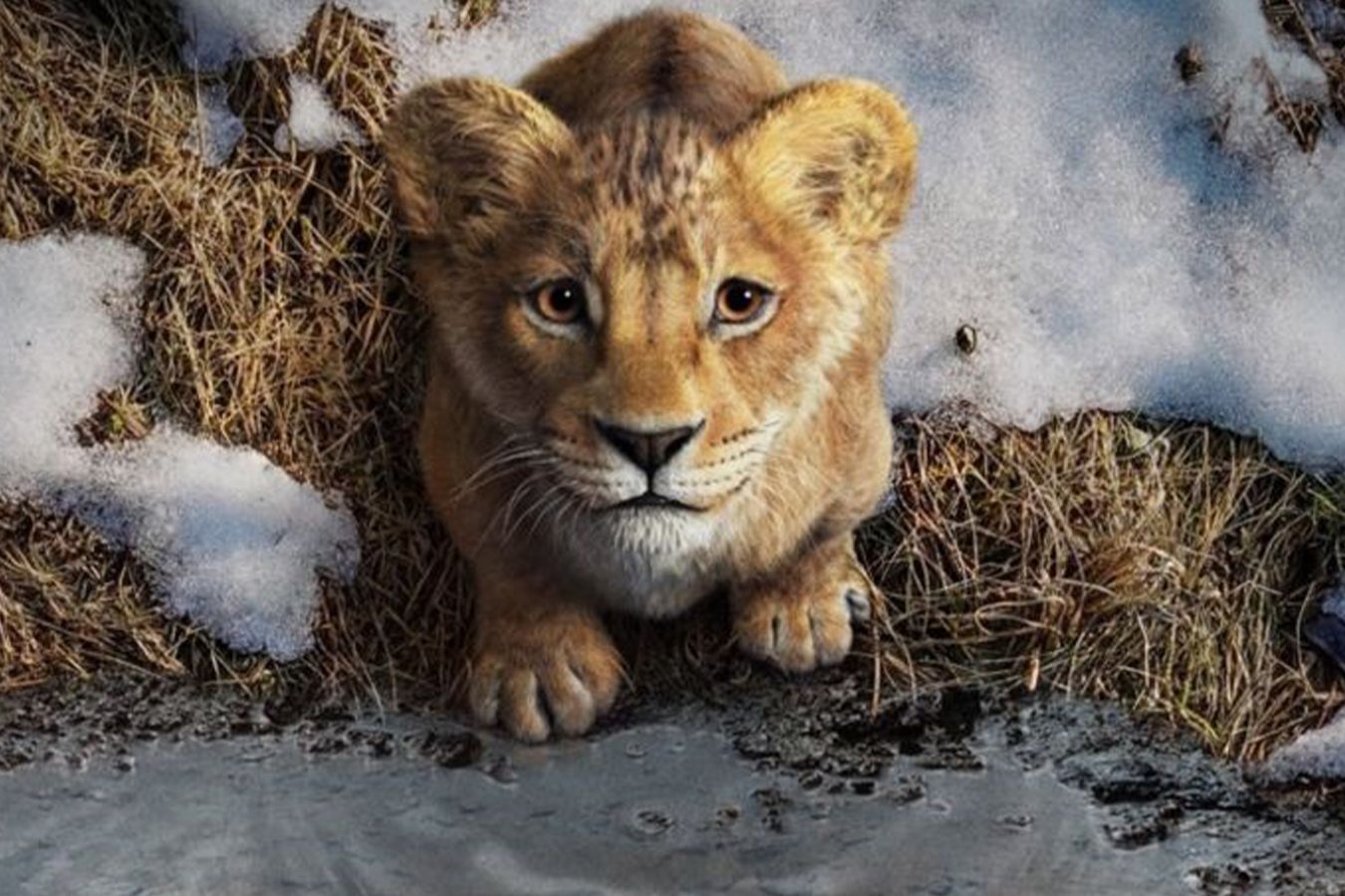 Зрители приняли фильм «Муфаса: Король Лев» чуть хуже первой части