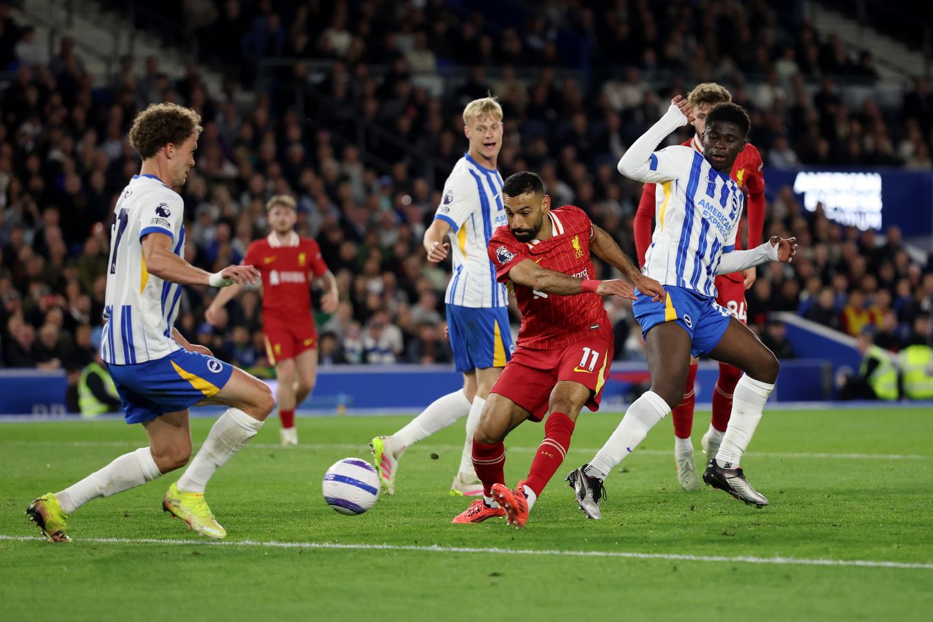 Ливерпуль Брайтон: онлайн-трансляция матча 16-го тура АПЛ начнётся в 18:00