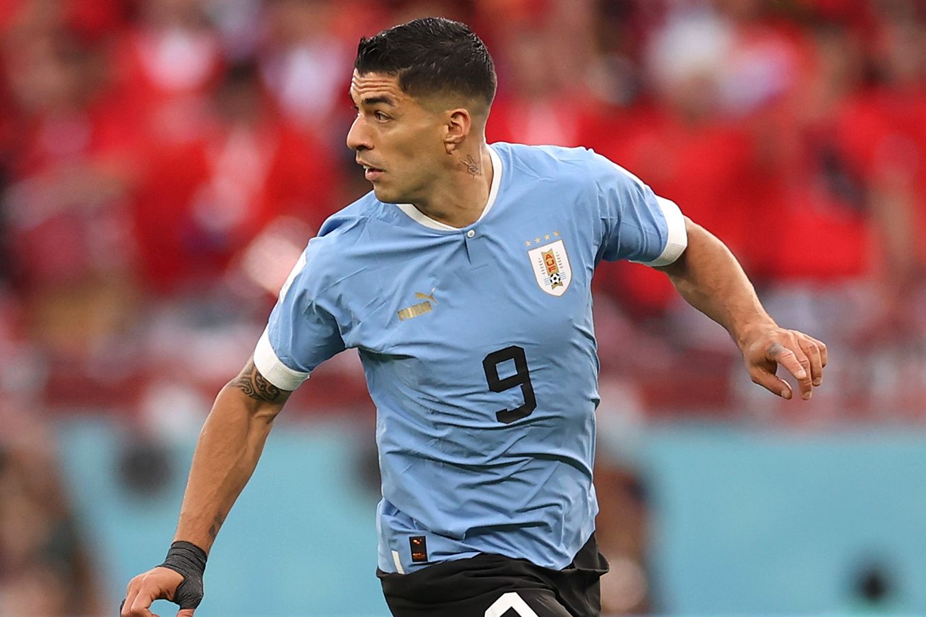 Уругвай — Панама: во сколько начало матча Кубка Америки, где смотреть прямую трансляцию