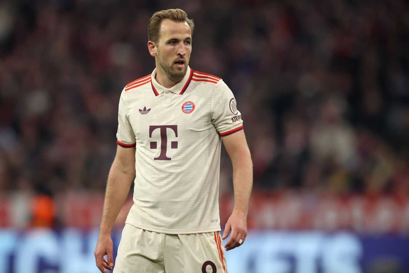 Фото: Кейн спустился к полю в ожидании чемпионства, но Бавария упустила победу