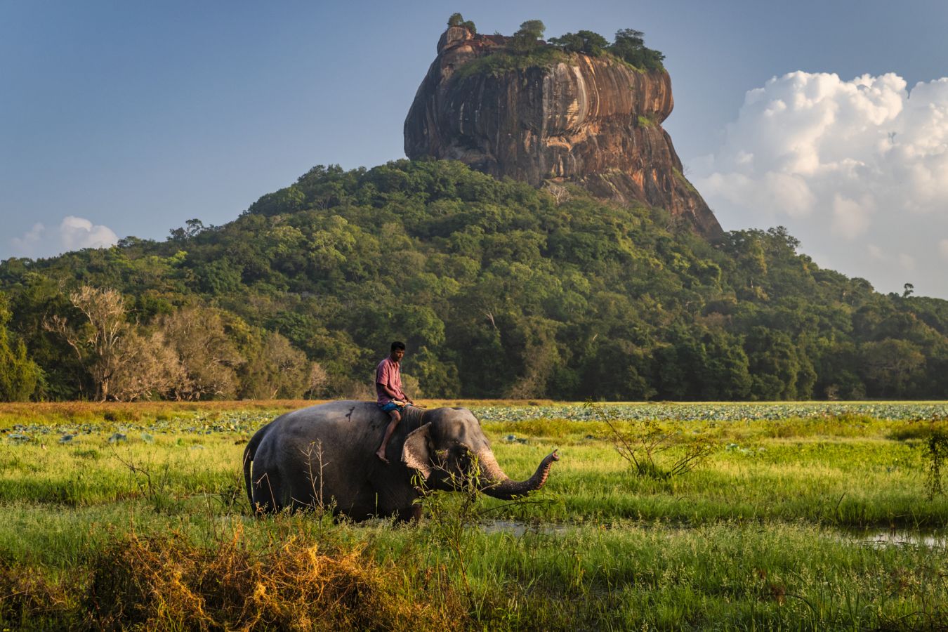 С чего начать путешествие по Шри-Ланке?