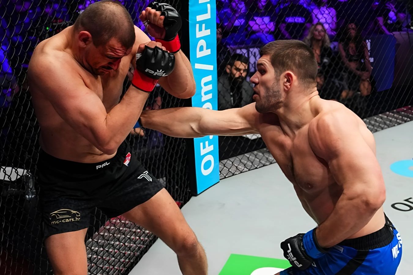 ���������� 20 �� ���� ���������: ����.