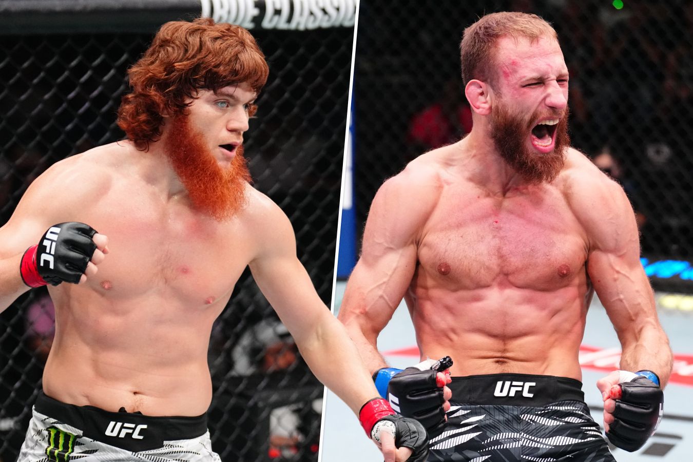 UFC Баку