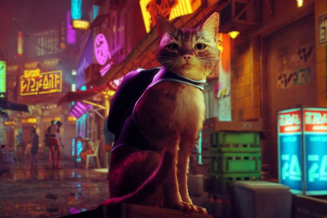 Игра про котика Stray захватывает Британию
