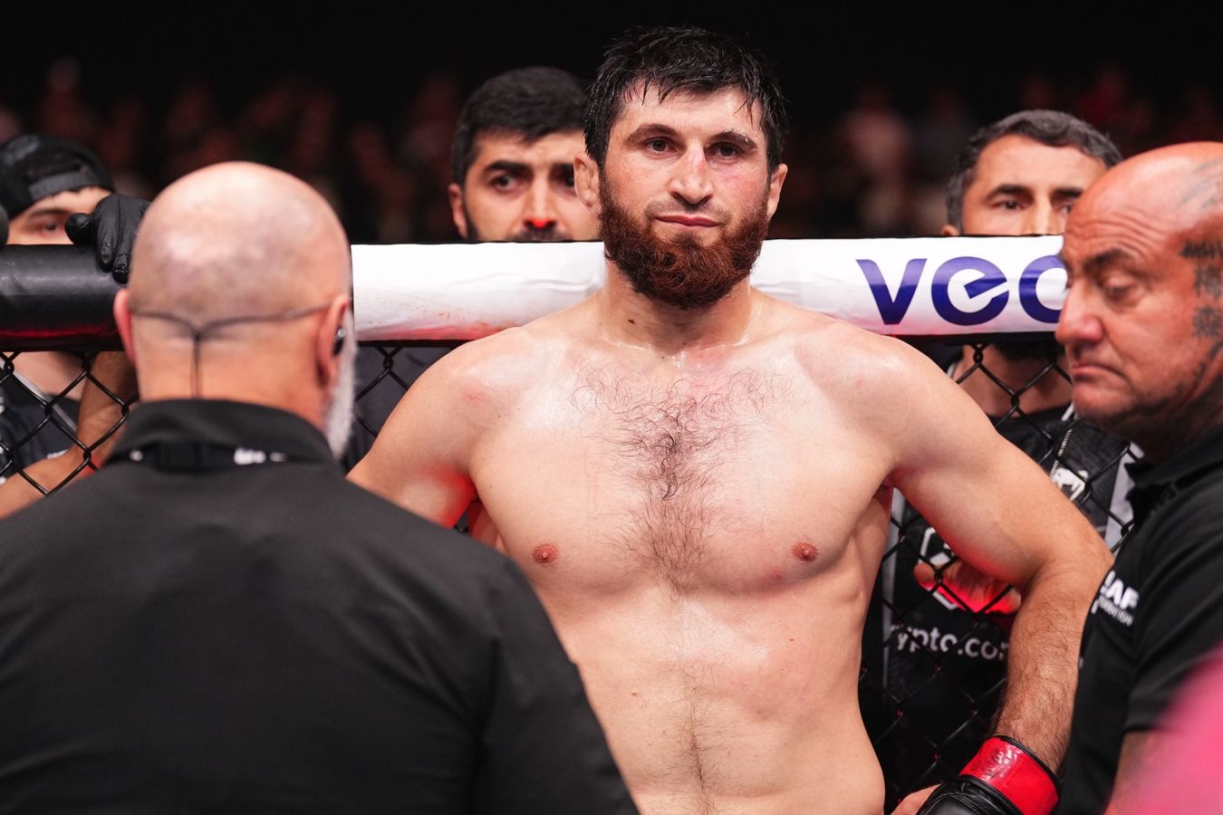 Камил Гаджиев: Анкалаев не нужен UFC