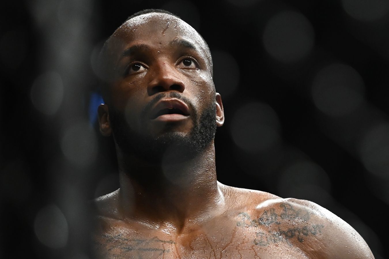 Не могу представить. Эдвардс объяснил, почему не проиграет Усману на UFC 286