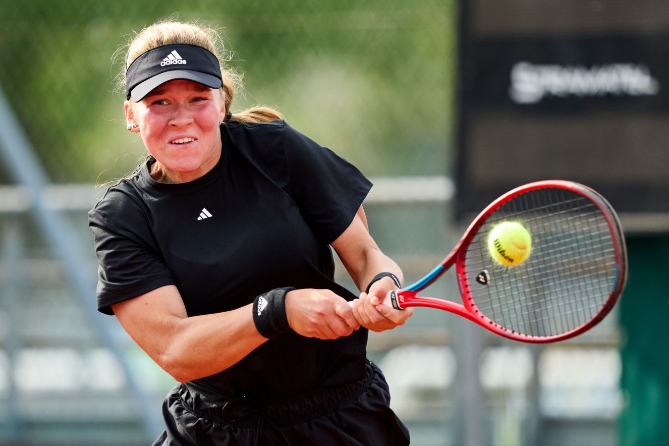 Софья Лансере