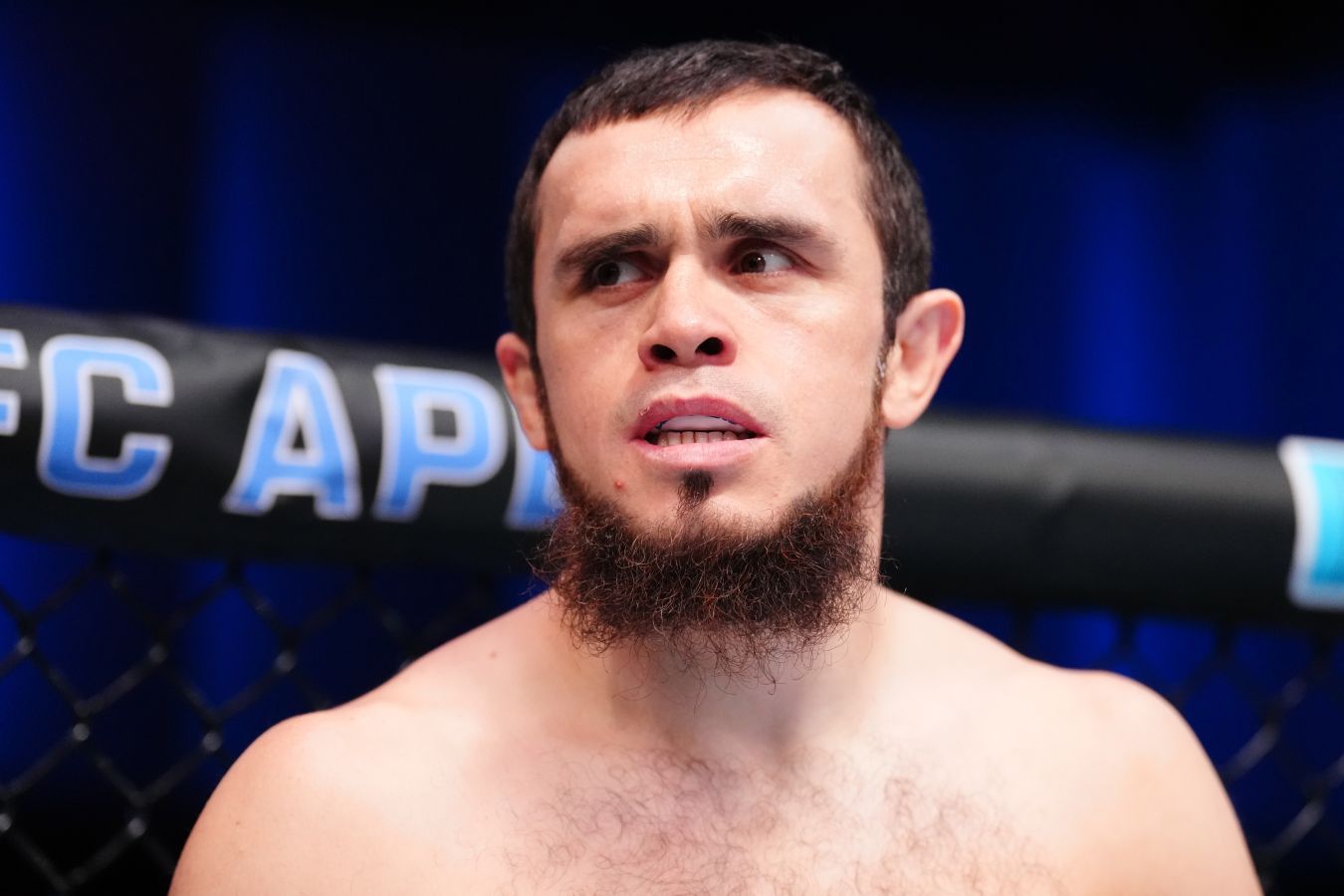 Деметриус Джонсон оценил перспективы Магомеда Зайнукова в UFC