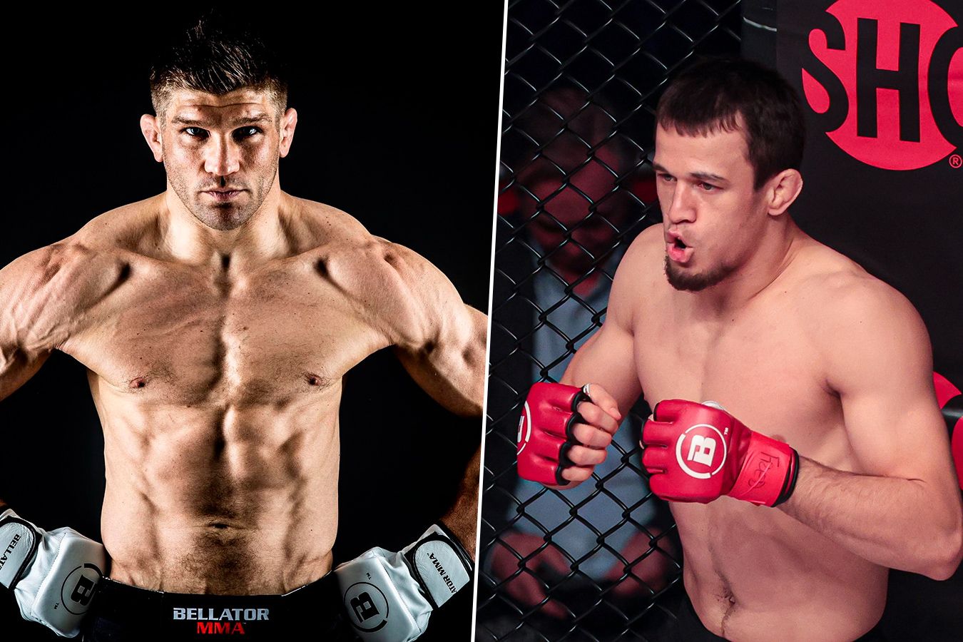 Bellator 300: Нурмагомедов – Примус, Бейдер – Васселл, где смотреть  трансляцию, во сколько начало, онлайн-трансляция - Чемпионат