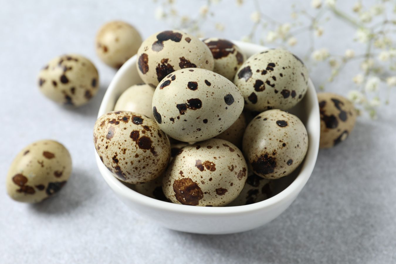 Перепелиные яйца: польза и вред для организма