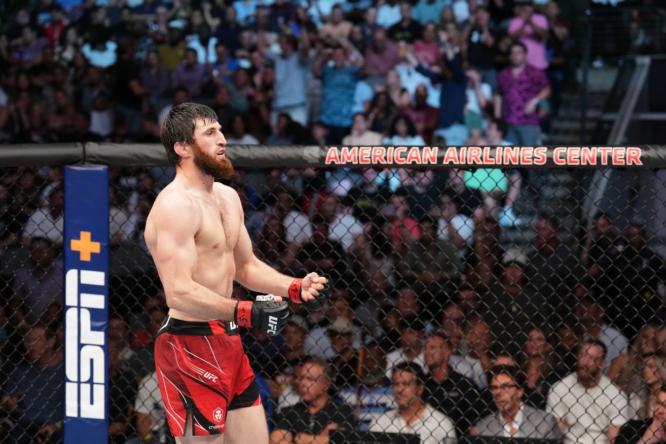 Не против вырубить его. Чемпион UFC Хилл согласился на бой с Анкалаевым