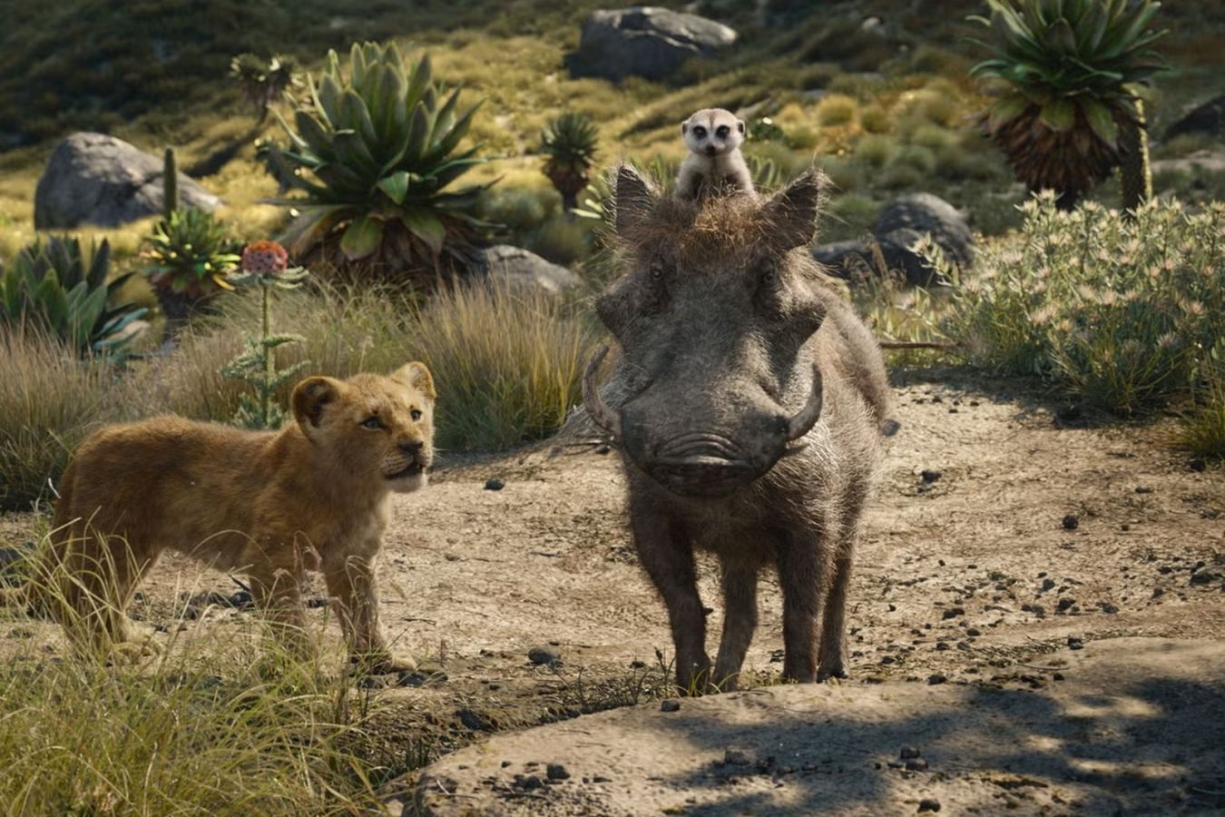 Disney снимет ещё один фильм по ремейку «Короля льва» — инсайдер