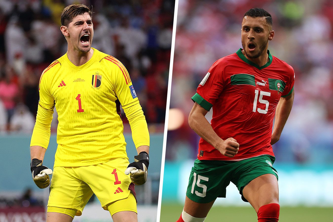 Бельгия  Марокко: прямая трансляция матча чемпионата мира  2022 начнётся в 16:00