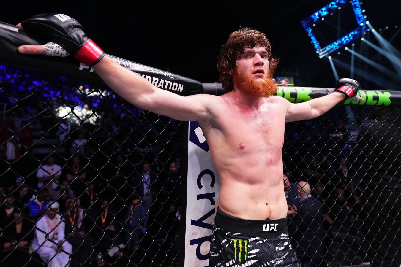 Видео: Шара Буллет показал свою тренировку на лапах