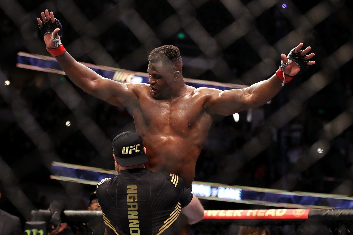 Нганну обратился к Адесанье перед его титульным боем с Перейрой на UFC 287