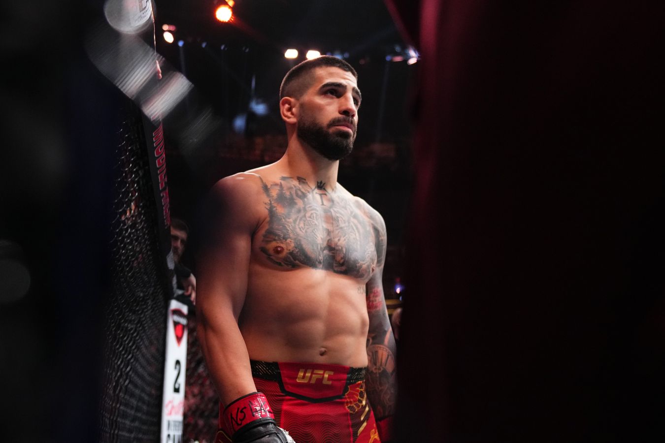 Чендлер высказался о возможном бое между Топурией и Гэтжи