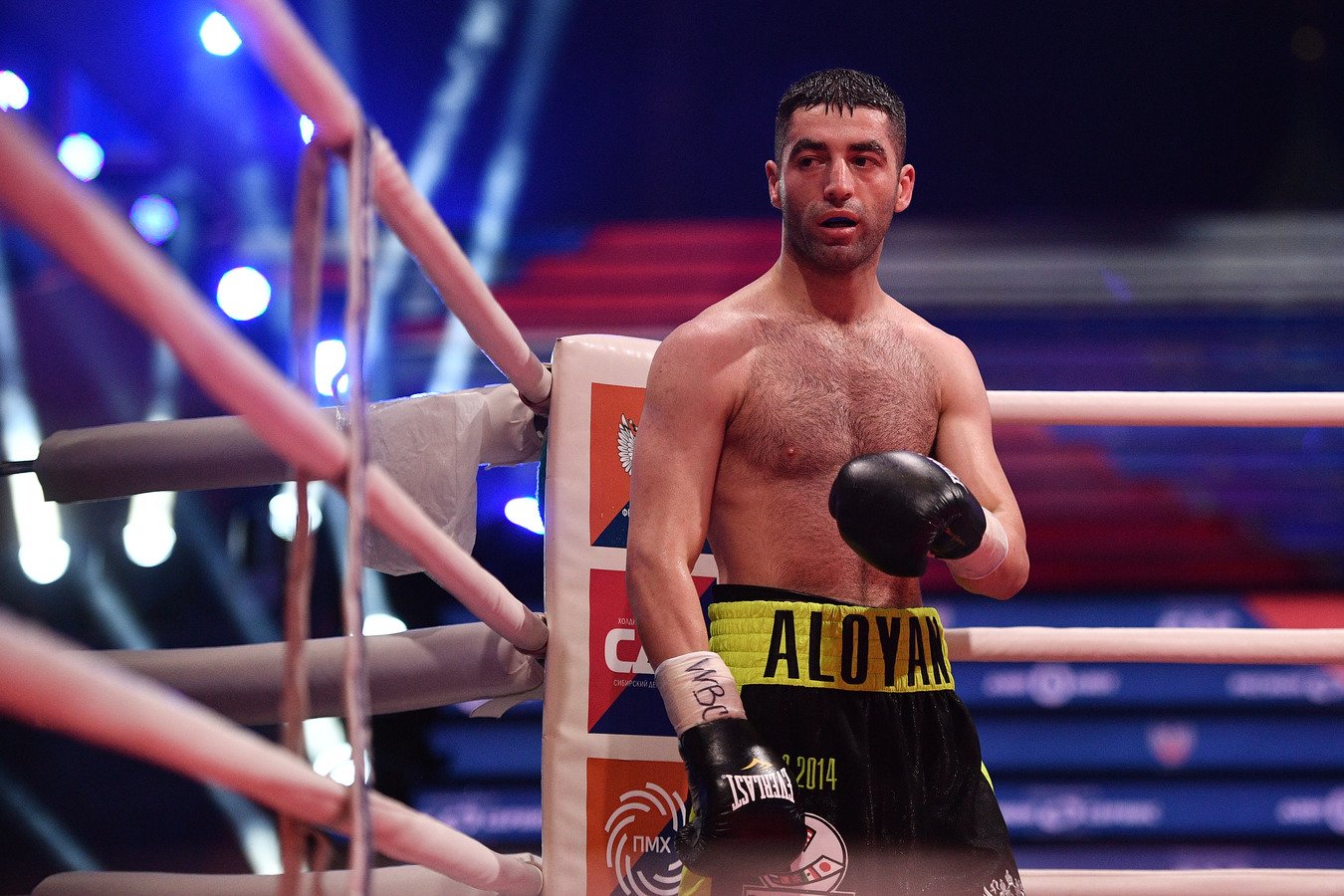 Миша Алоян защитил чемпионский титул WBA Gold, одержав досрочную победу над Грищуком