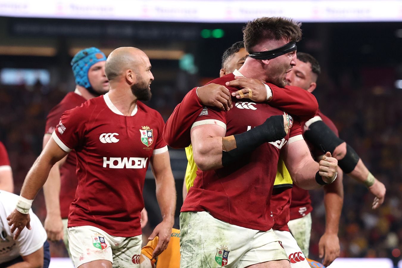 Что стоит знать о Британских и ирландских львах?