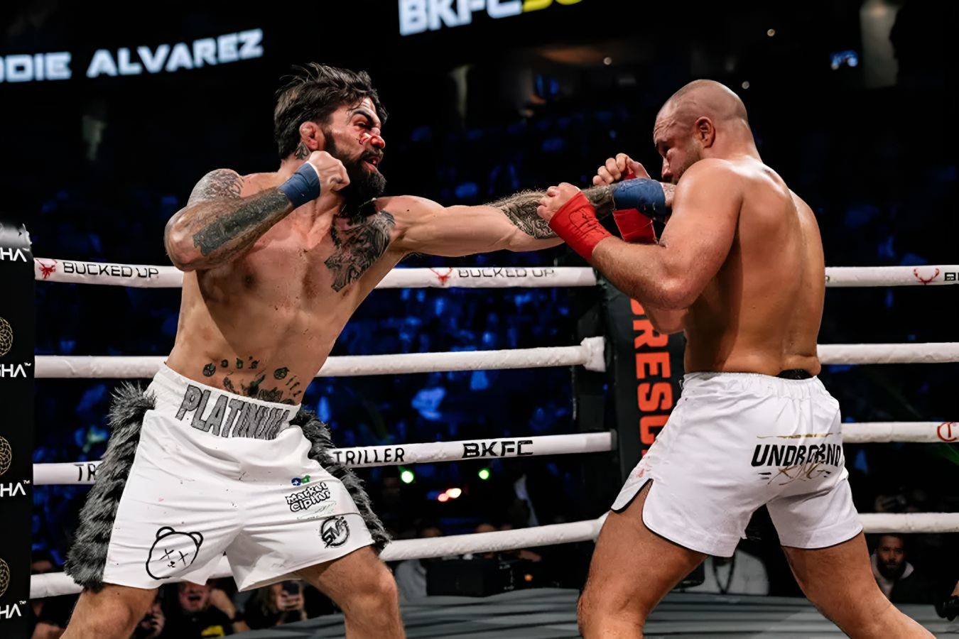 BKFC, Эдди Альварес — Майк Перри, кулачные бои, правила, история  промоушена, Конор Макгрегор, Пейдж Ванзант - Чемпионат