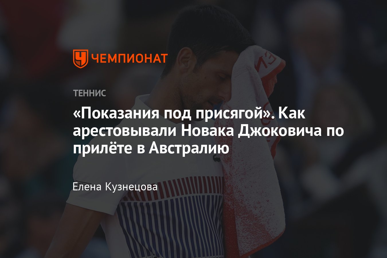 Подробный перевод показаний Новака Джоковича в Австралии, как и за что его  арестовали в аэропорту Мельбурна - Чемпионат