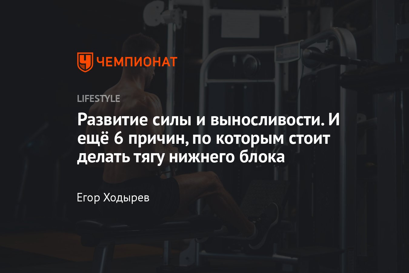 Тяга нижнего блока: толщина вашей спины | право-на-защиту37.рф | Дзен