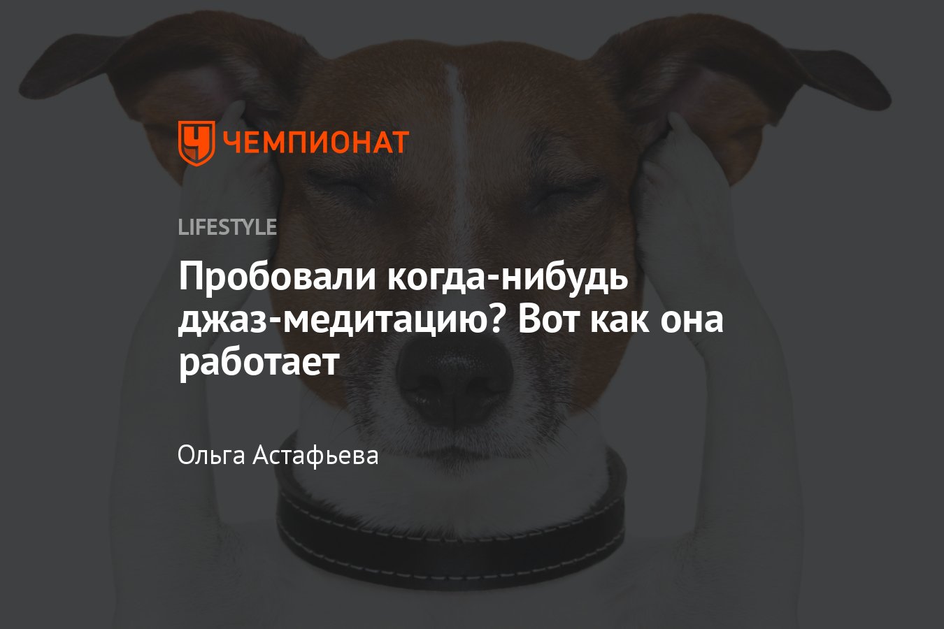 Работа пси