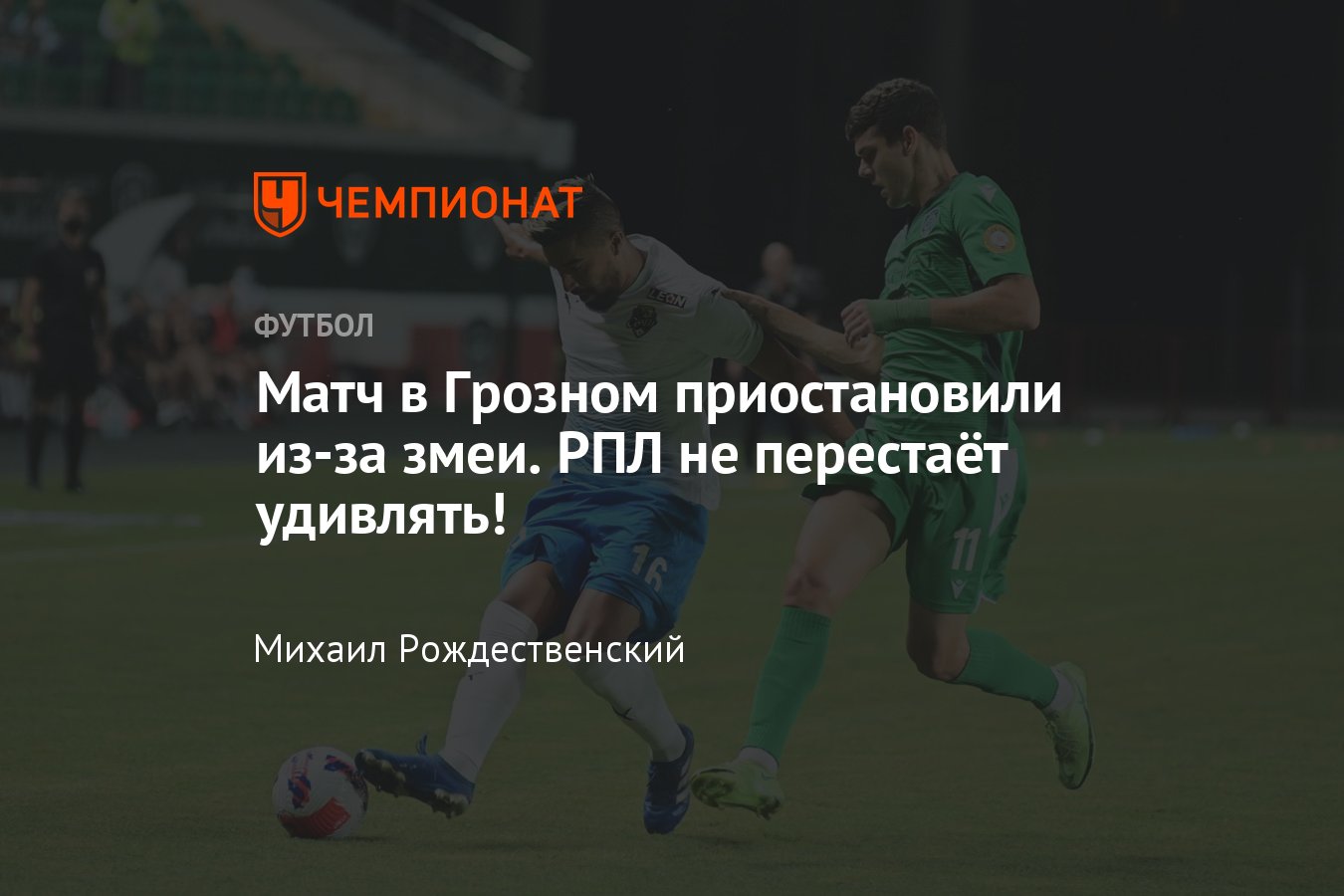 Ахмат» — «Сочи», 2-й тур РПЛ, змея на поле — видео, 2 августа 2021 года -  Чемпионат