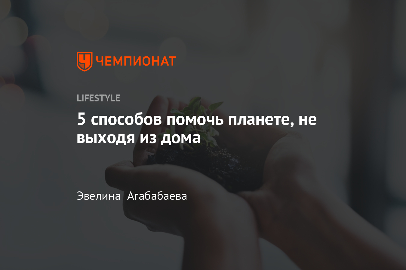 Как помочь экологии, что может сделать каждый, чтобы помочь в борьбе с  экологическими проблемами? - Чемпионат