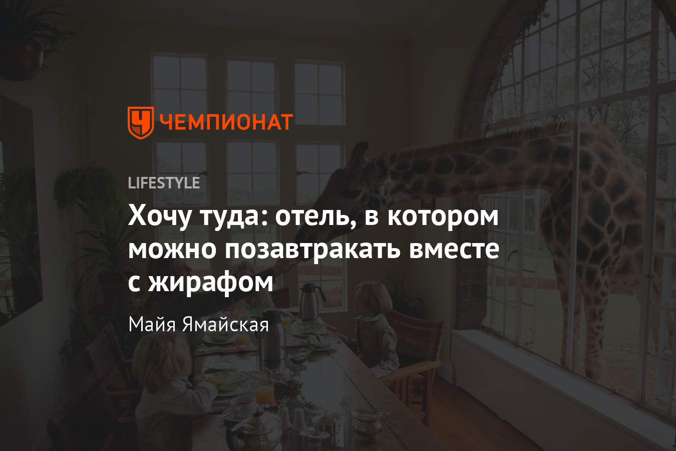 Отель в ЮАР, в котором можно позавтракать с жирафом. Лайфхаки и путешествия  - Чемпионат