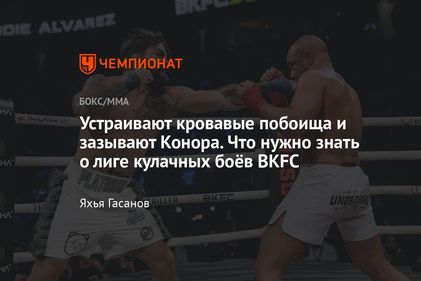 BKFC, Эдди Альварес — Майк Перри, кулачные бои, правила, история  промоушена, Конор Макгрегор, Пейдж Ванзант - Чемпионат