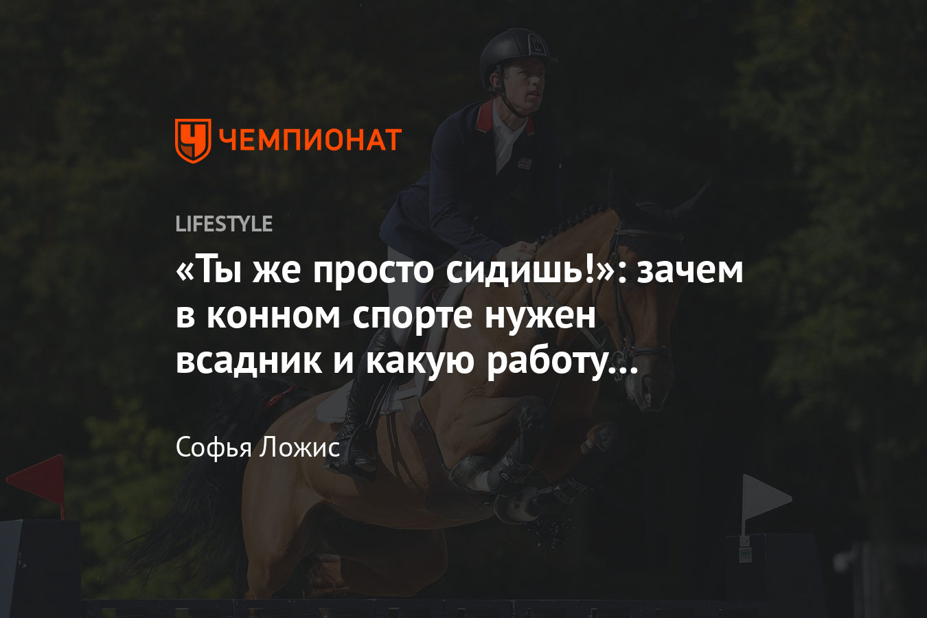 В чём заключается работа всадника в конном спорте, почему конный спорт  официально считается спортом? - Чемпионат