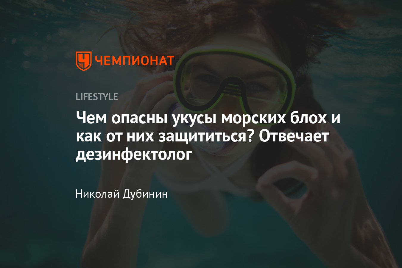 Морские блохи: что нужно знать, где обитают и что делать при укусах -  Чемпионат