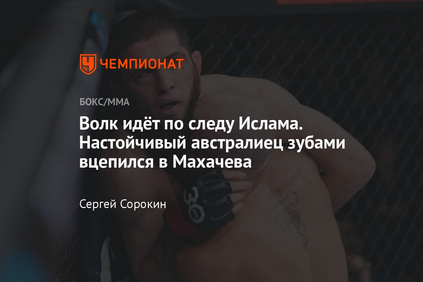 Animal Rage ������: ����.