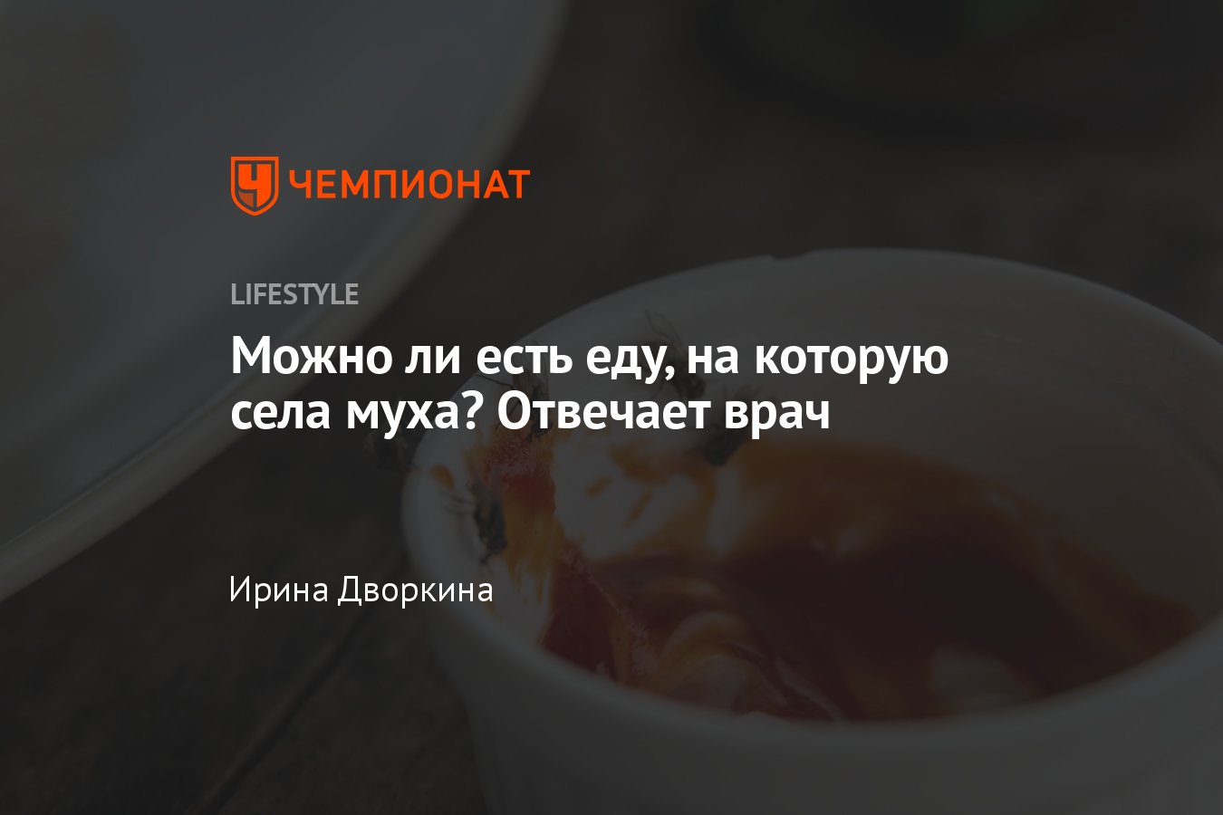 Можно ли есть еду, на которую села муха? Отвечает врач - Чемпионат