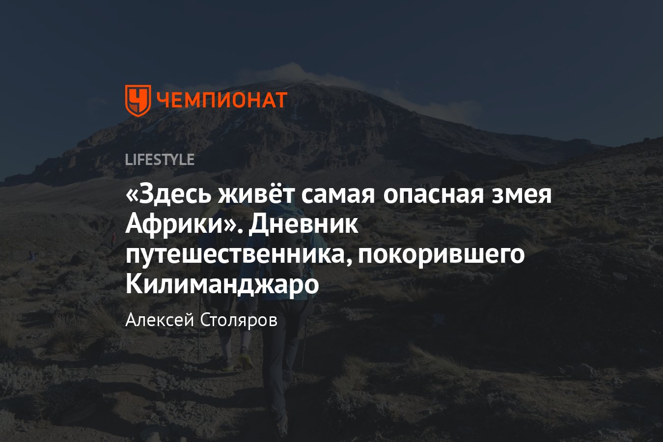 Восхождение на Килиманджаро — как я поднимался на гору: дневник  путешественника - Чемпионат