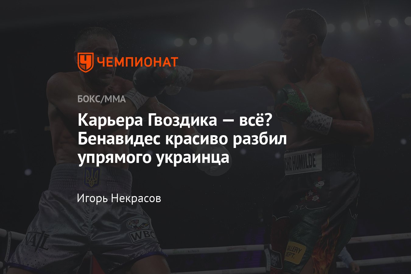 Дэвид Бенавидес — Александр Гвоздик, как завершился бой, кто победил,  победа Бенавидеса, судейские записки - Чемпионат