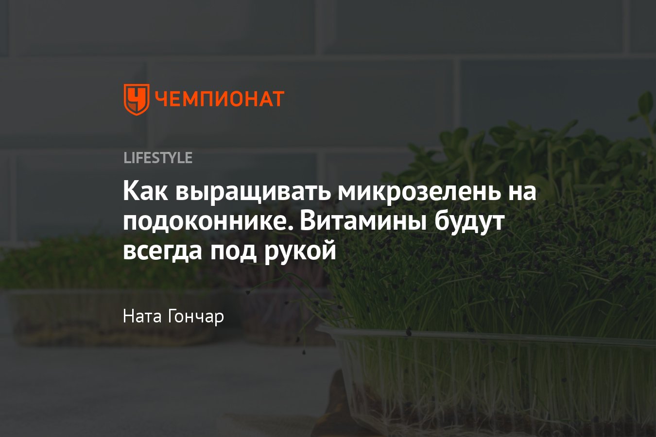 Правила и фишки для огорода на окне дома, как вырастить микрозелень на  подоконнике своими руками в домашних условиях - Чемпионат