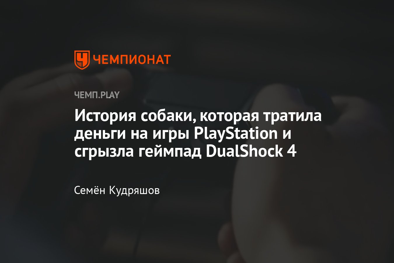 Канадская собака по кличке Зои грызла геймпад от PlayStation 4 и совершала  покупки в игре Watch Dogs - Чемпионат