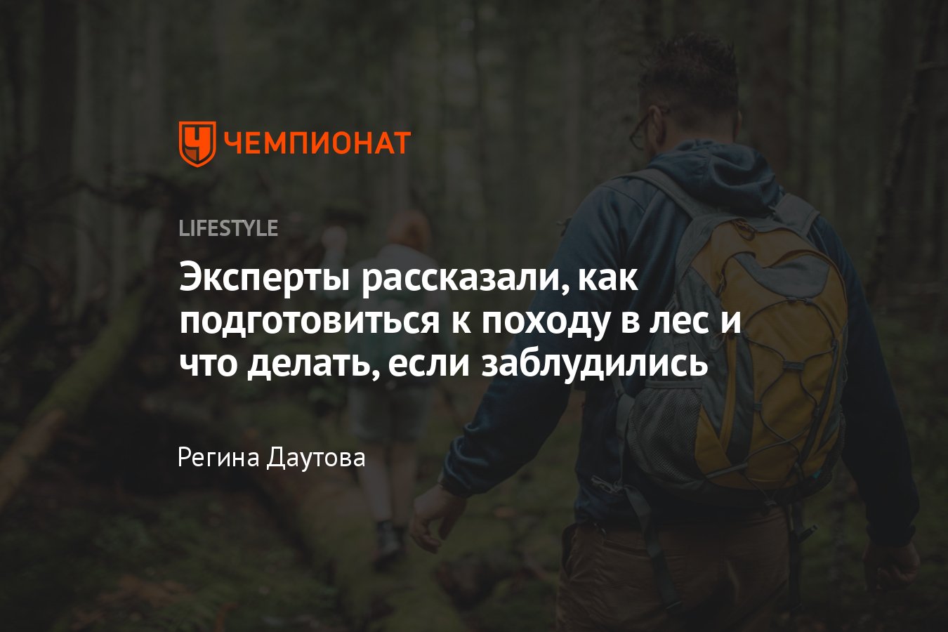 Правила поведения в лесу: что делать, если заблудились, последствия -  Чемпионат