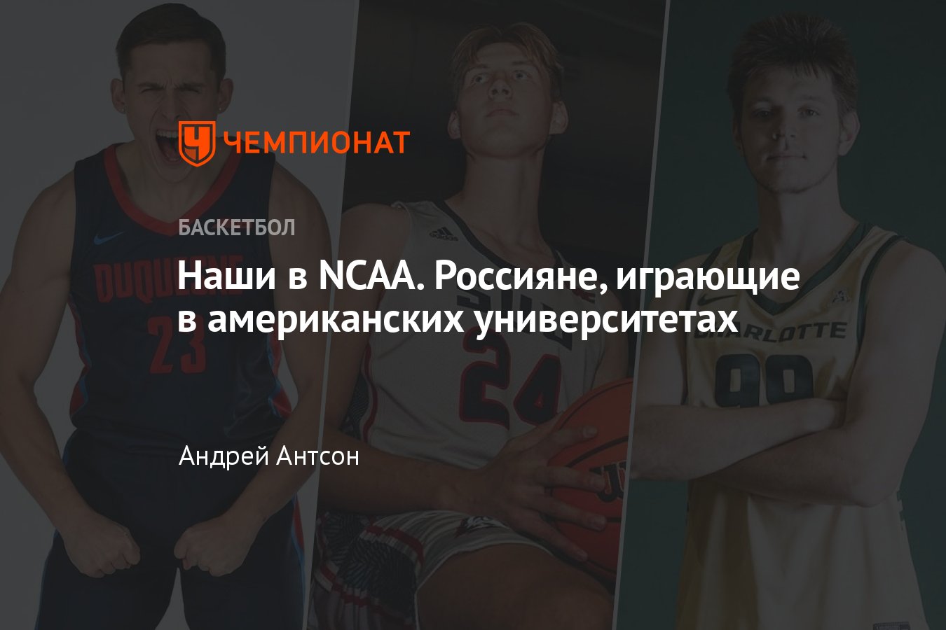 Россияне, выступающие в американской студенческой лиге NCAA - Чемпионат