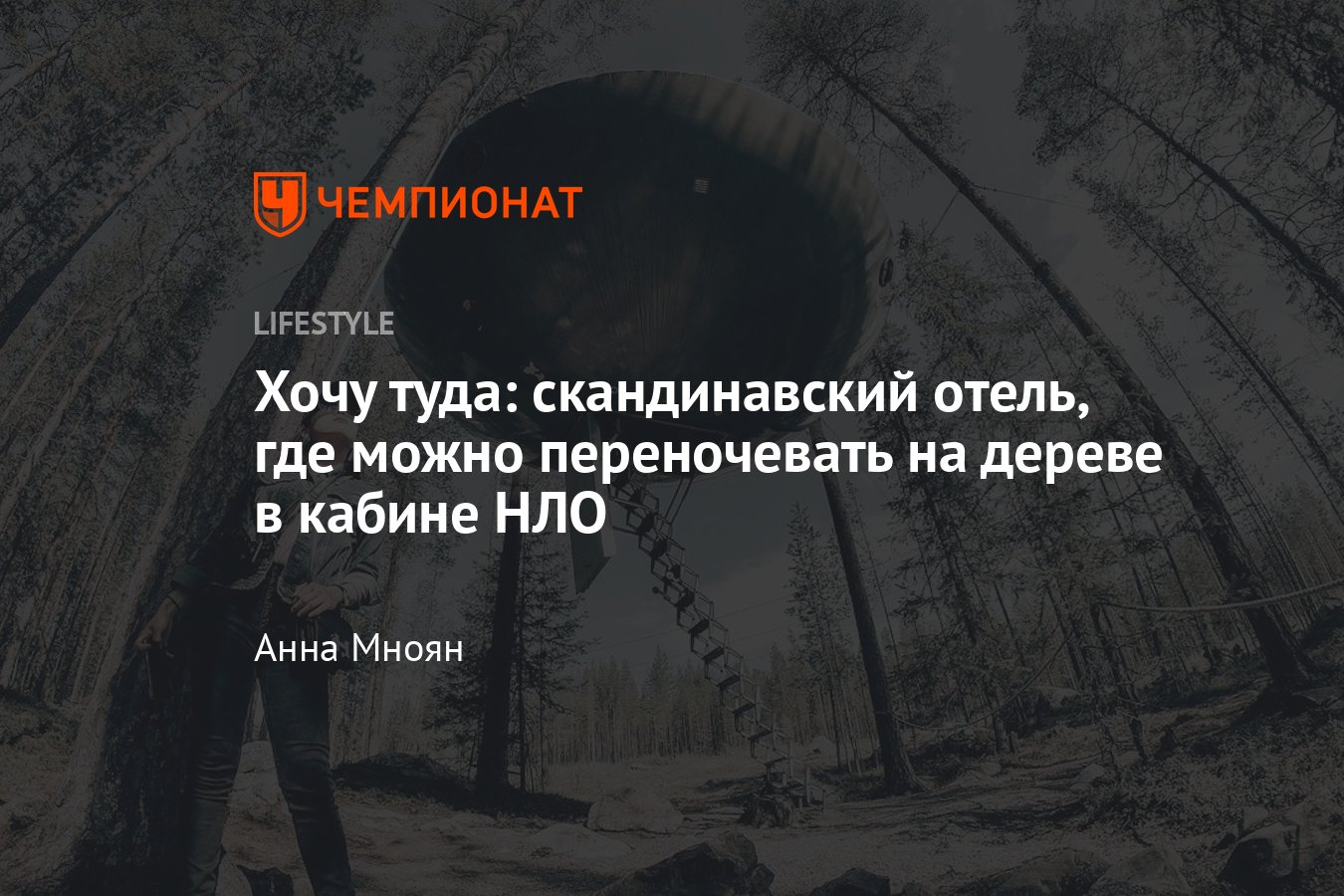 Отель в Швеции, где можно пожить на дереве в птичьем гнезде, стеклянном  кубе или кабине НЛО - Чемпионат