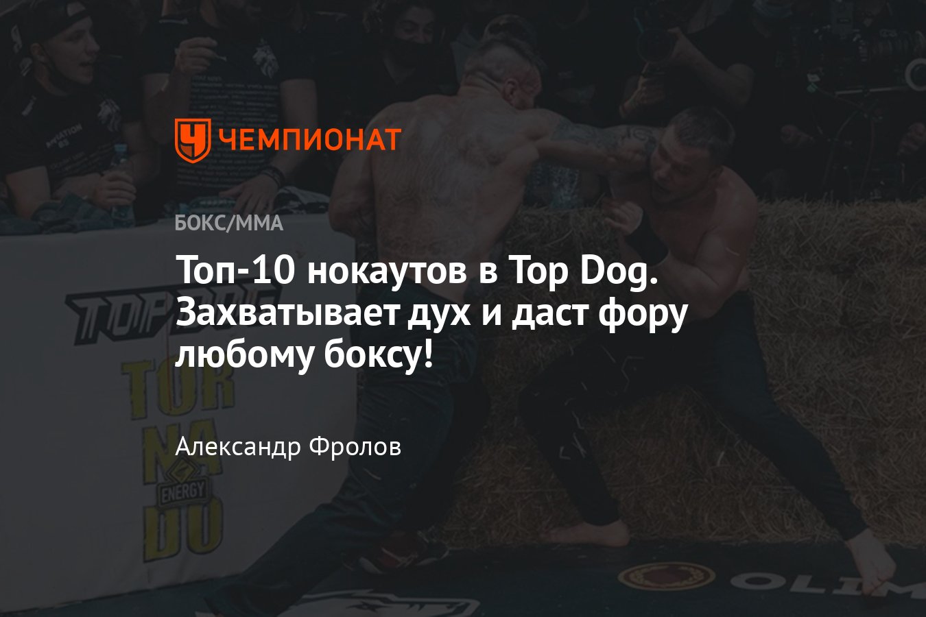 Лучшие нокауты 2021 года в TopDog, нокауты на голых кулаках, кулачные бои,  видео - Чемпионат