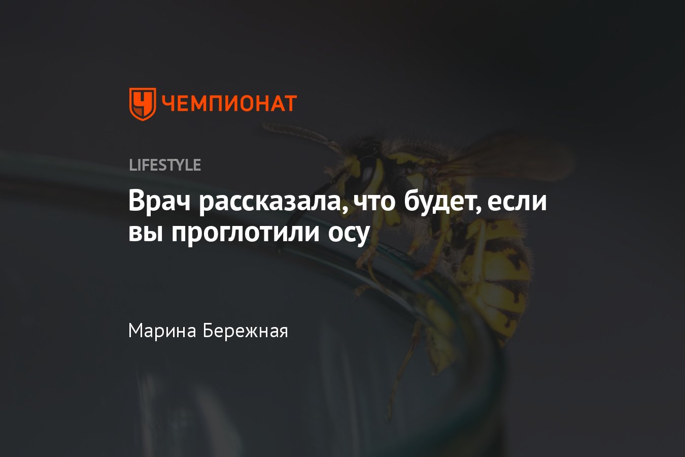 Что будет, если проглотить осу: последствия, симптомы, когда обращаться к  врачу - Чемпионат