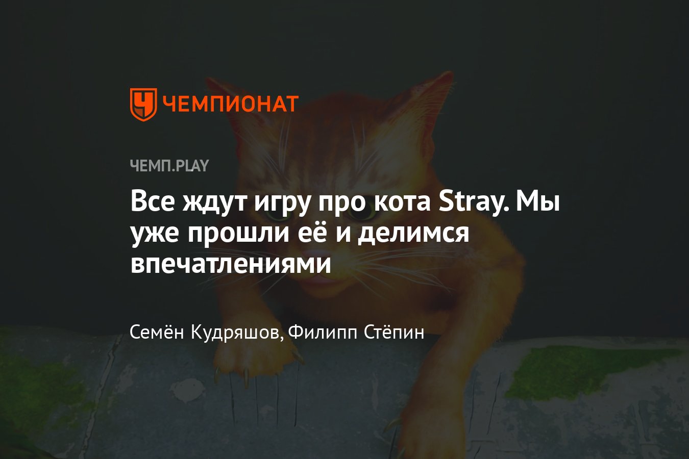 Обзор Stray: разбираем игру про кота в главной роли - Чемпионат