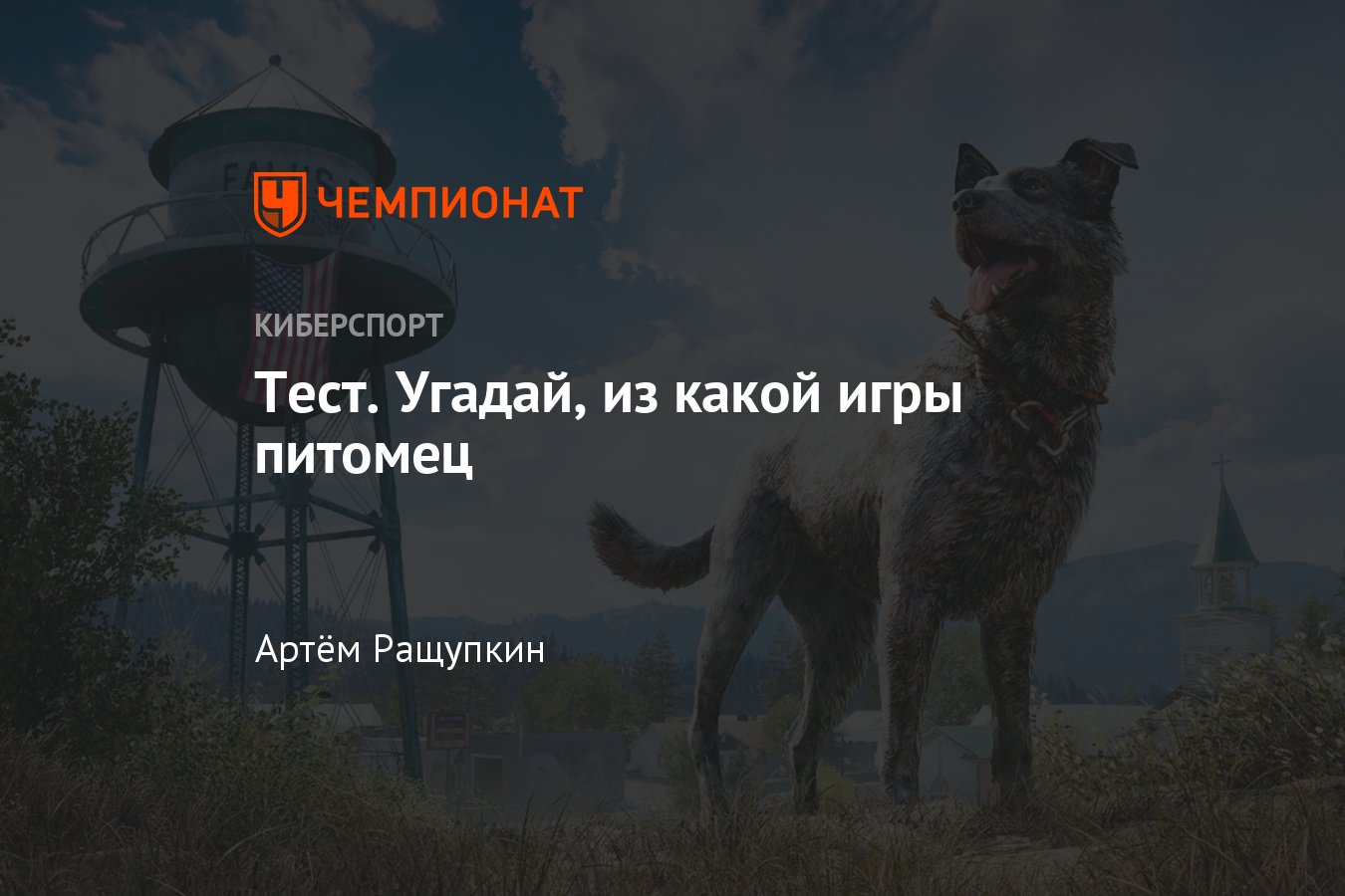 Тест на знание питомцев из The Witcher 3, GTA 5, Half-Life 2, Far Cry 5,  Borderlands и других игр - Чемпионат