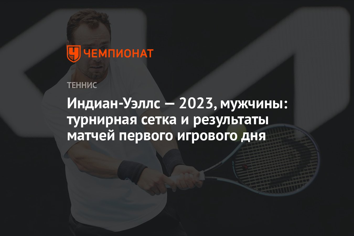 Теннис индиана уэльс 2024 турнирная сетка мужчины