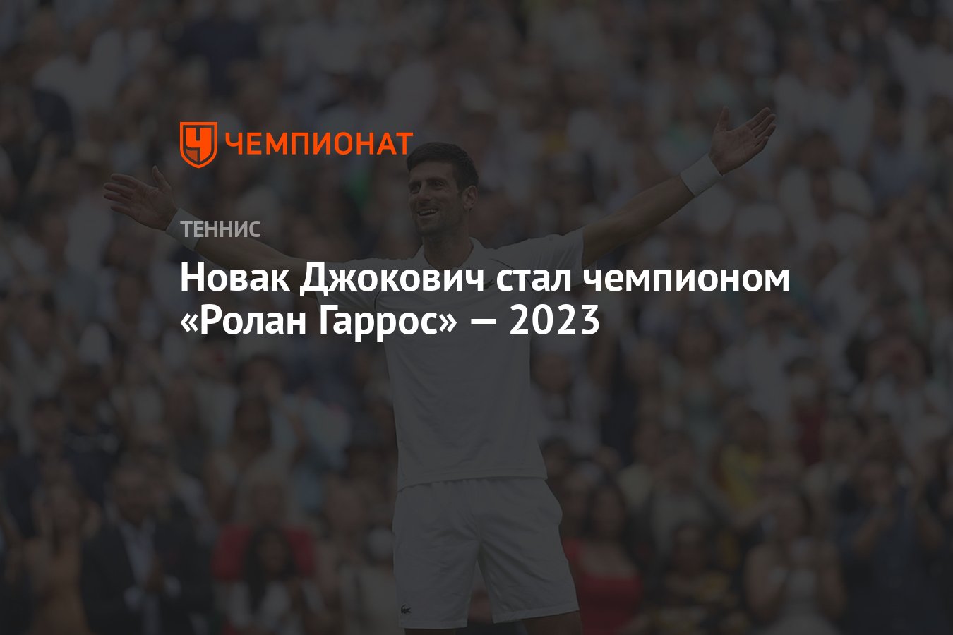 Новак Джокович стал чемпионом «Ролан Гаррос» — 2023 - Чемпионат