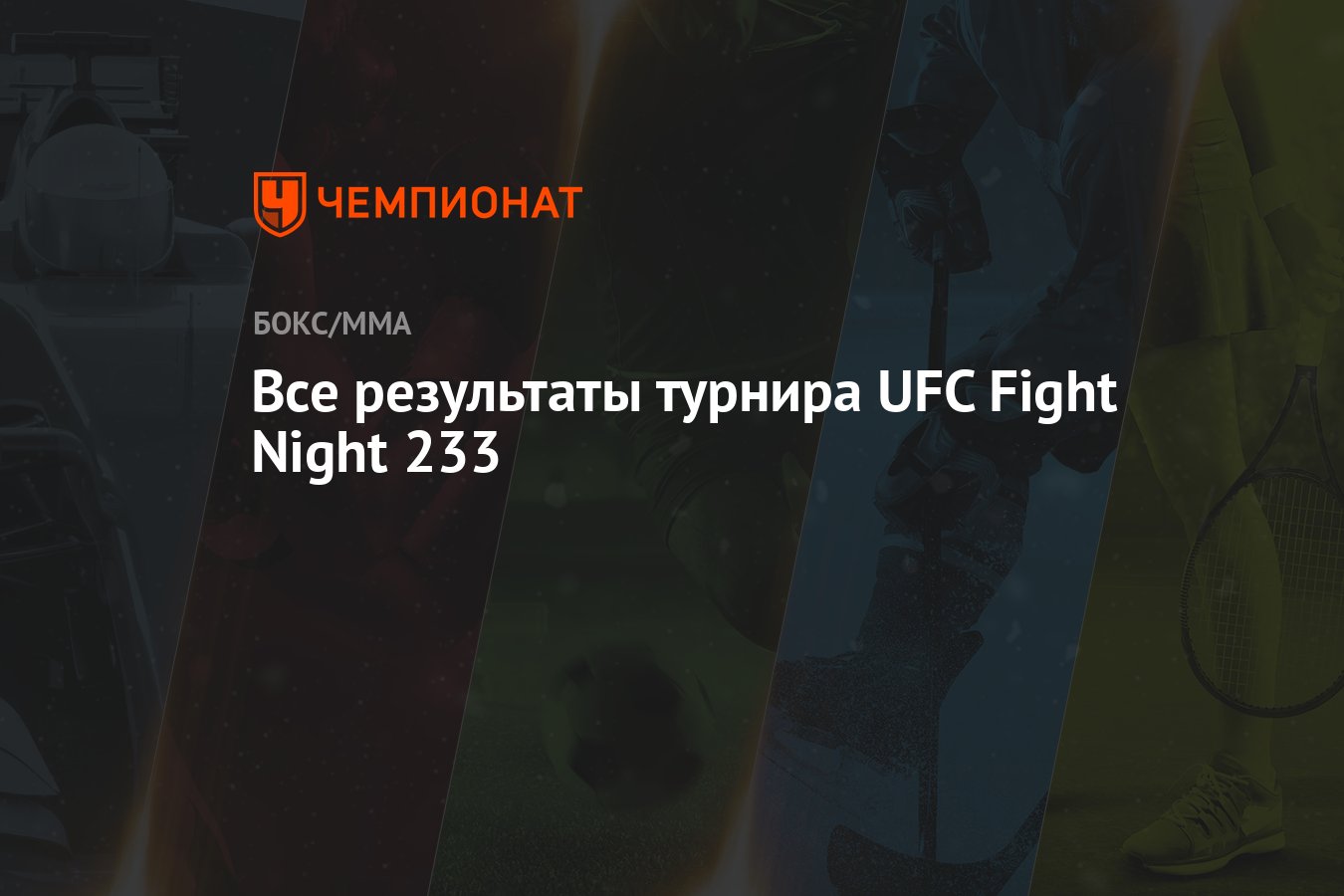 Все результаты турнира UFC Fight Night 233 - Чемпионат