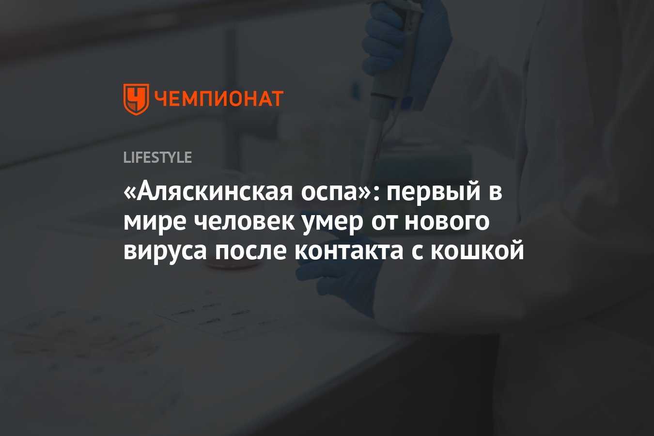 Аляскинская оспа»: первый в мире человек умер от нового вируса после  контакта с кошкой - Чемпионат