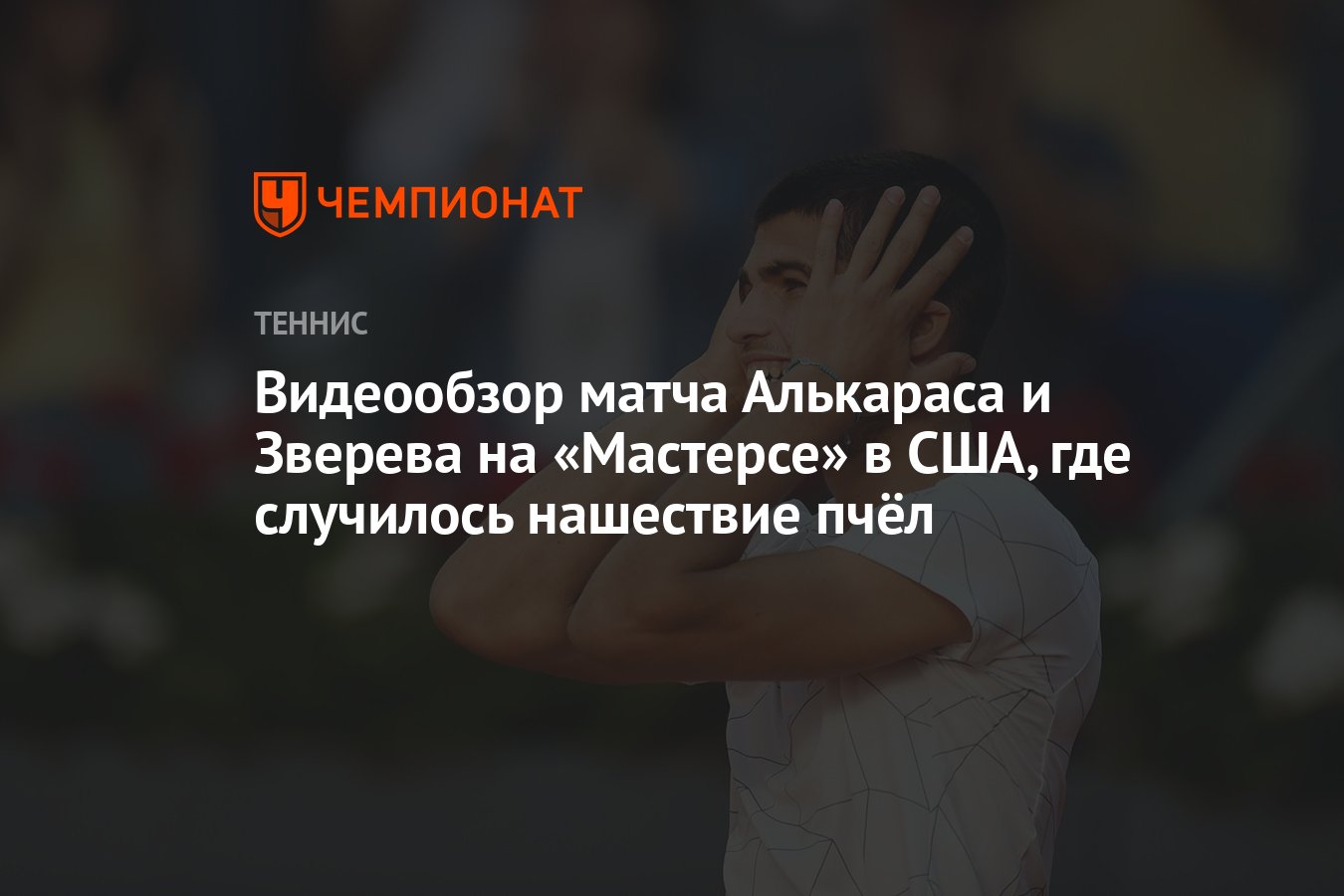 Видеообзор матча Алькараса и Зверева на «Мастерсе» в США, где случилось  нашествие пчёл - Чемпионат